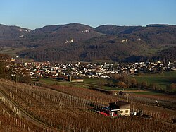 Aesch von dem oberen Rebbergweg in der Klus aus gesehen
